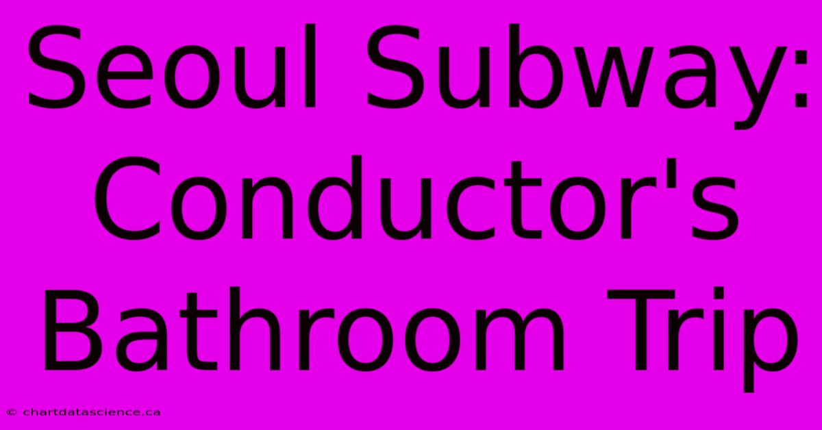 Seoul Subway: Conductor's Bathroom Trip