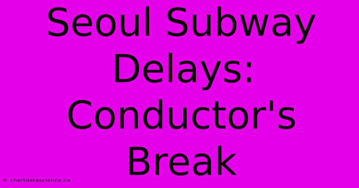 Seoul Subway Delays: Conductor's Break