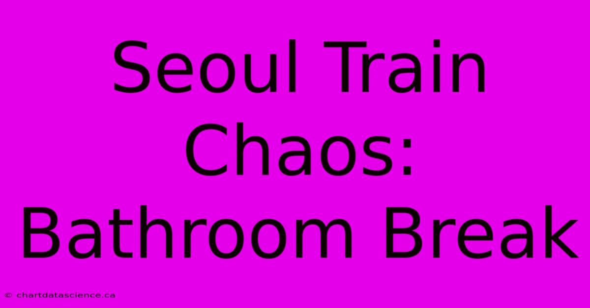 Seoul Train Chaos: Bathroom Break