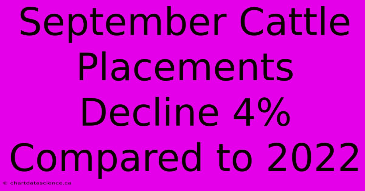 September Cattle Placements Decline 4% Compared To 2022