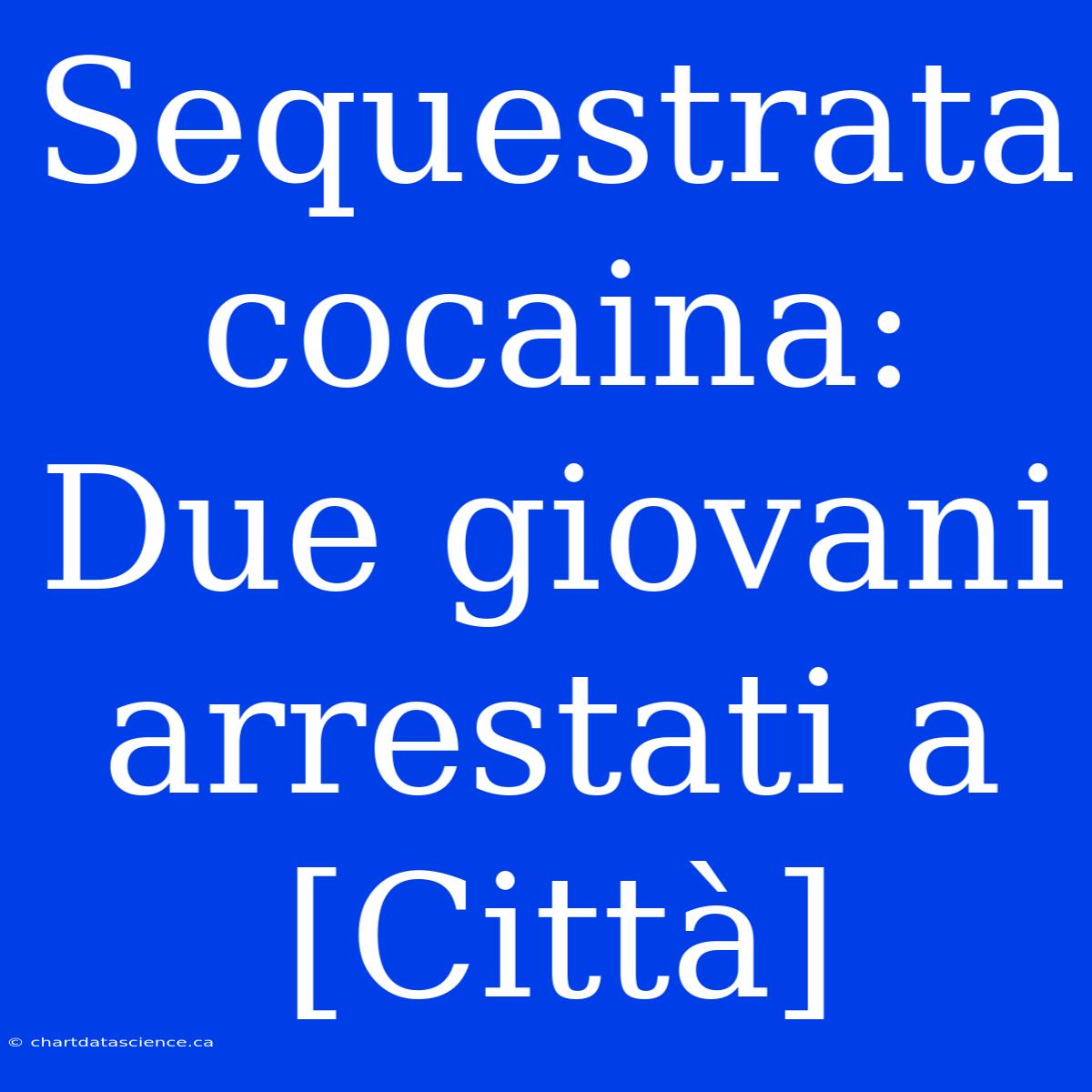 Sequestrata Cocaina: Due Giovani Arrestati A [Città]