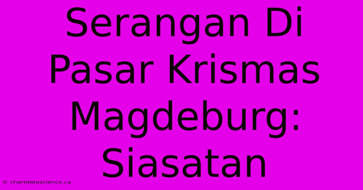 Serangan Di Pasar Krismas Magdeburg: Siasatan