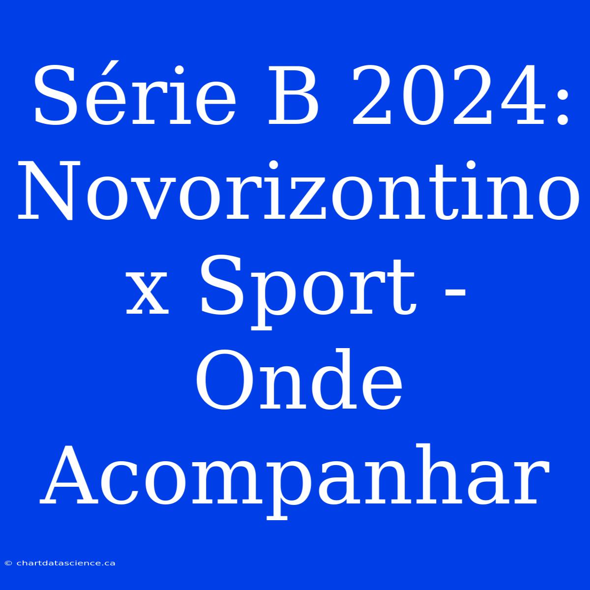 Série B 2024: Novorizontino X Sport -  Onde Acompanhar