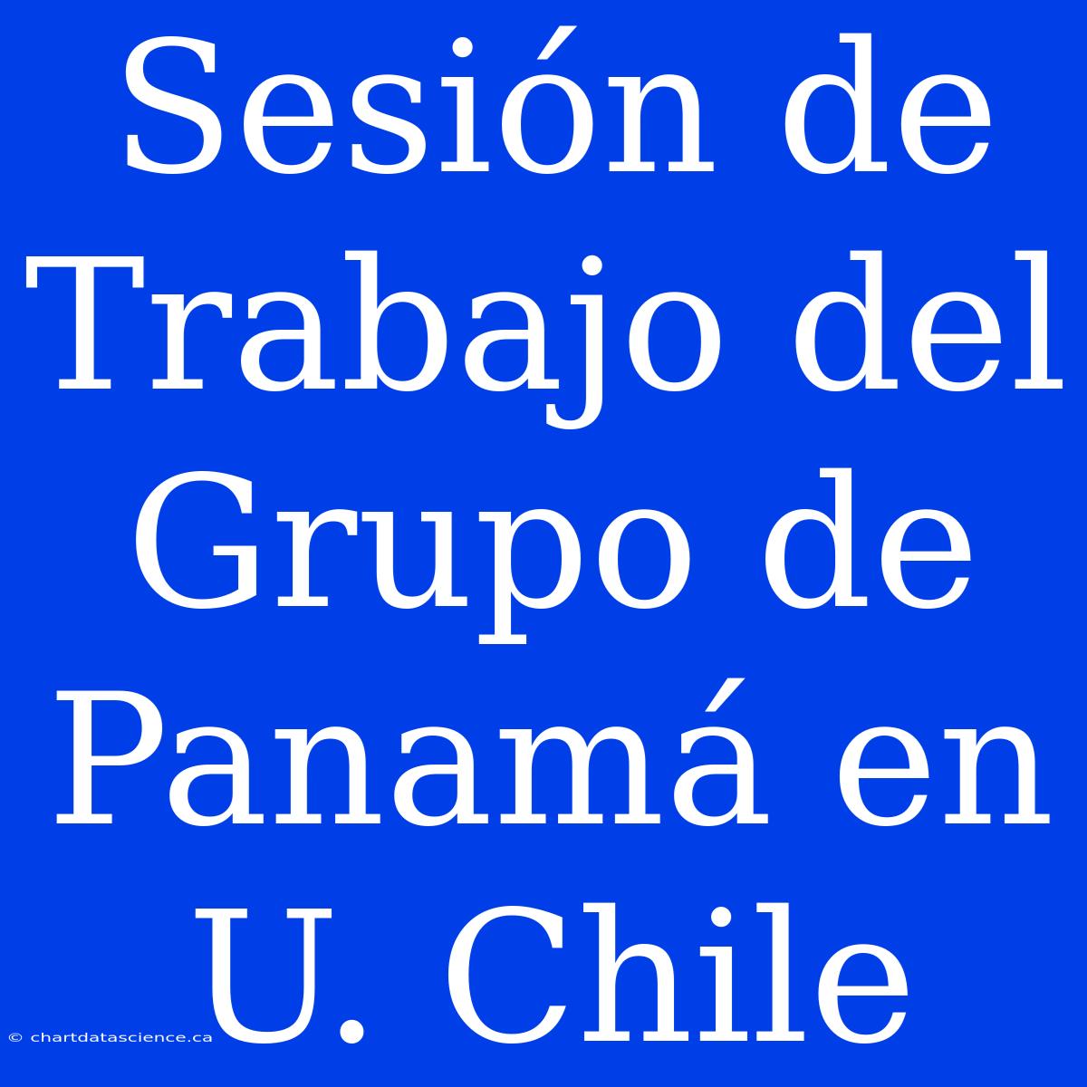 Sesión De Trabajo Del Grupo De Panamá En U. Chile