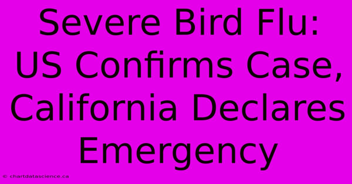 Severe Bird Flu: US Confirms Case, California Declares Emergency