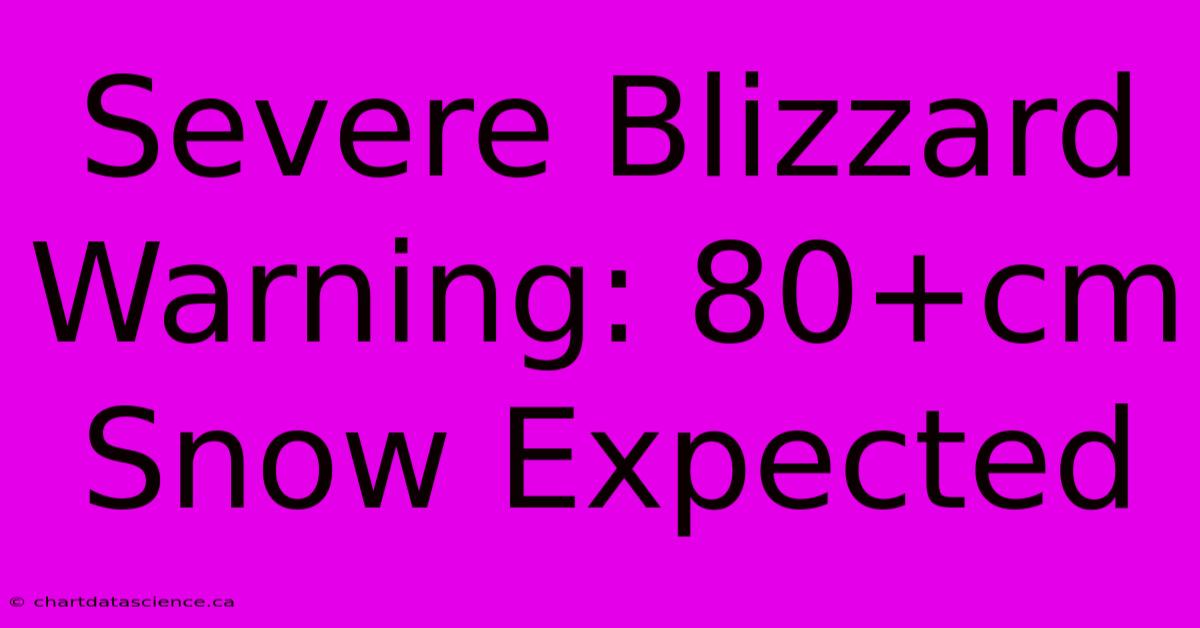 Severe Blizzard Warning: 80+cm Snow Expected