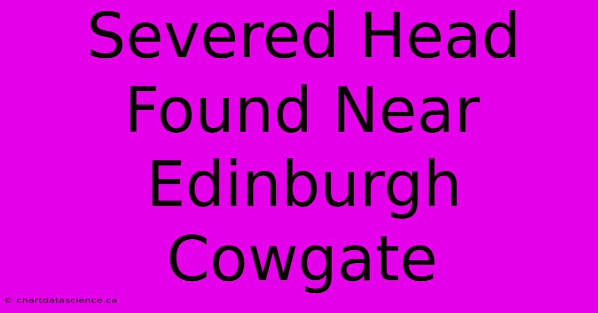 Severed Head Found Near Edinburgh Cowgate