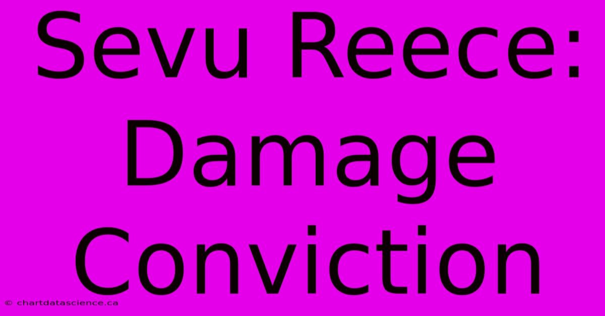 Sevu Reece: Damage Conviction