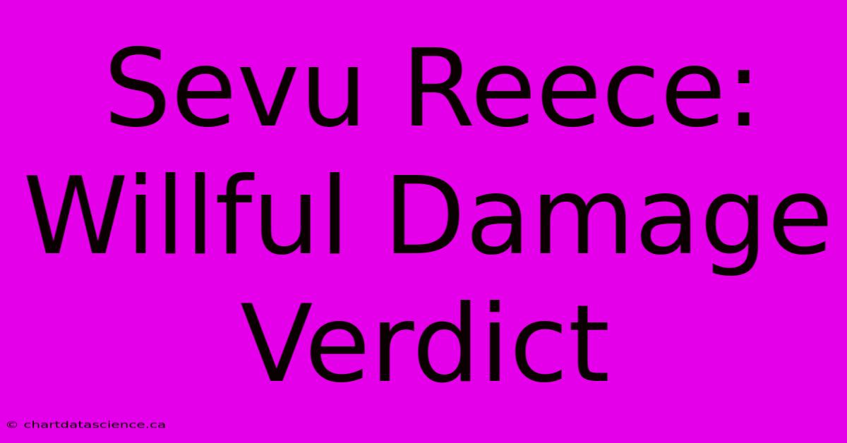 Sevu Reece: Willful Damage Verdict