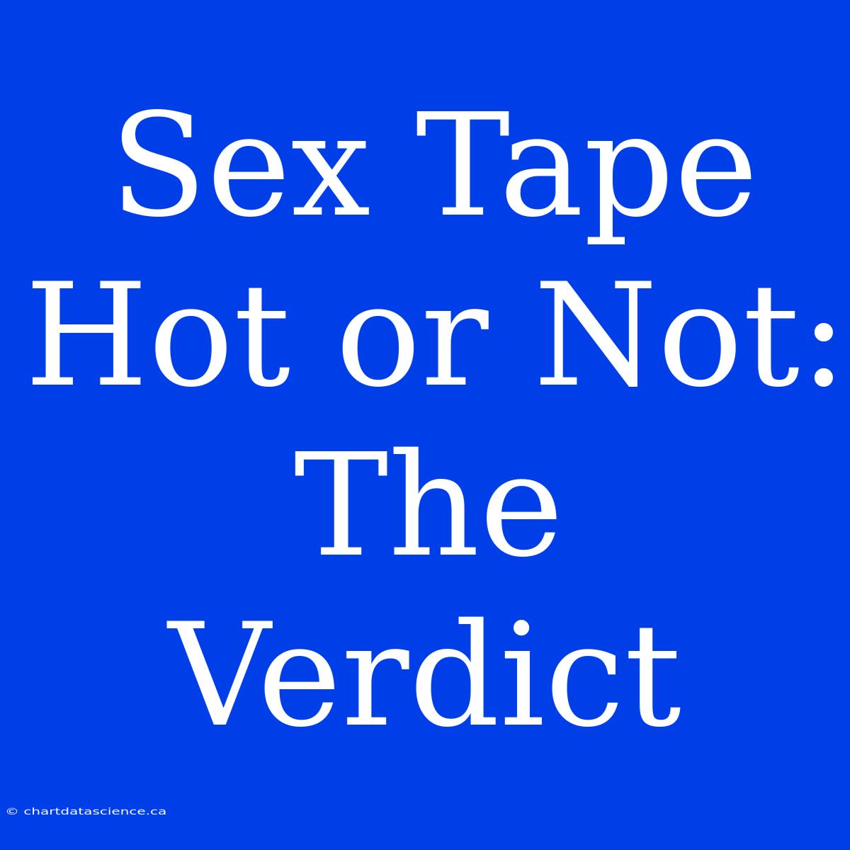 Sex Tape Hot Or Not: The Verdict