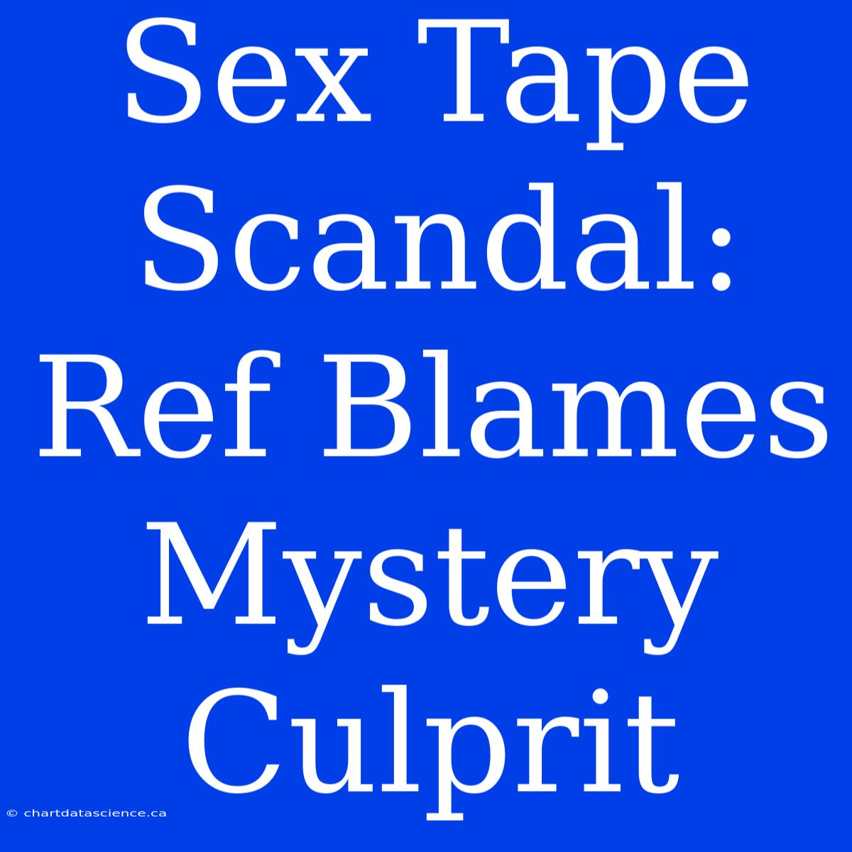 Sex Tape Scandal: Ref Blames Mystery Culprit