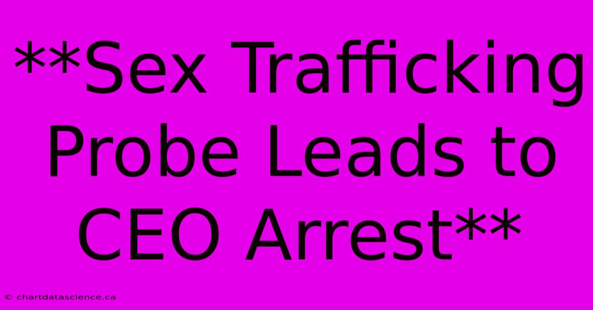 **Sex Trafficking Probe Leads To CEO Arrest**