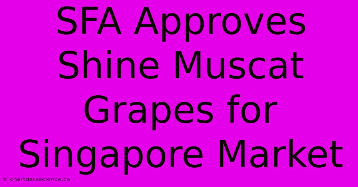 SFA Approves Shine Muscat Grapes For Singapore Market