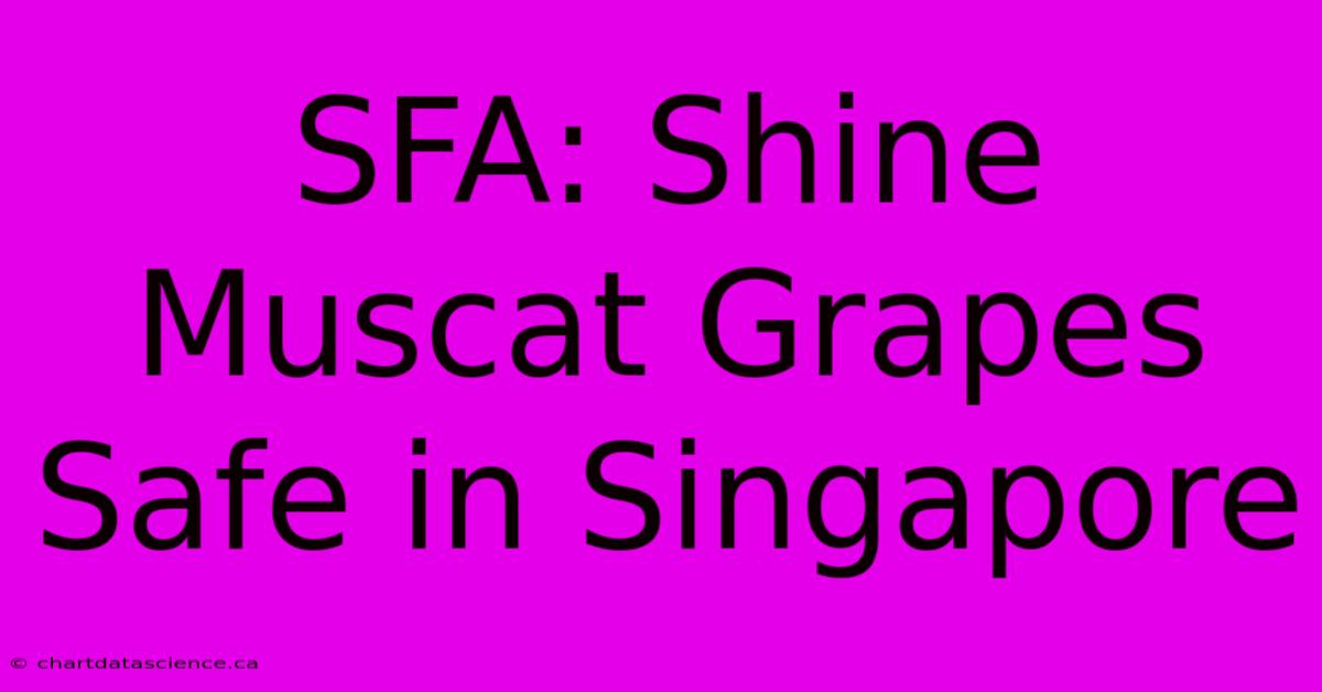 SFA: Shine Muscat Grapes Safe In Singapore