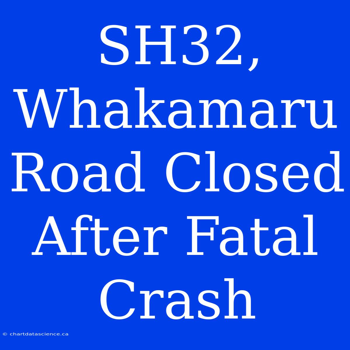 SH32, Whakamaru Road Closed After Fatal Crash