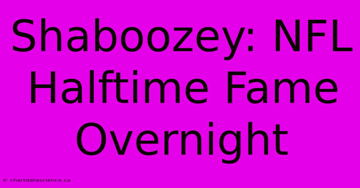 Shaboozey: NFL Halftime Fame Overnight