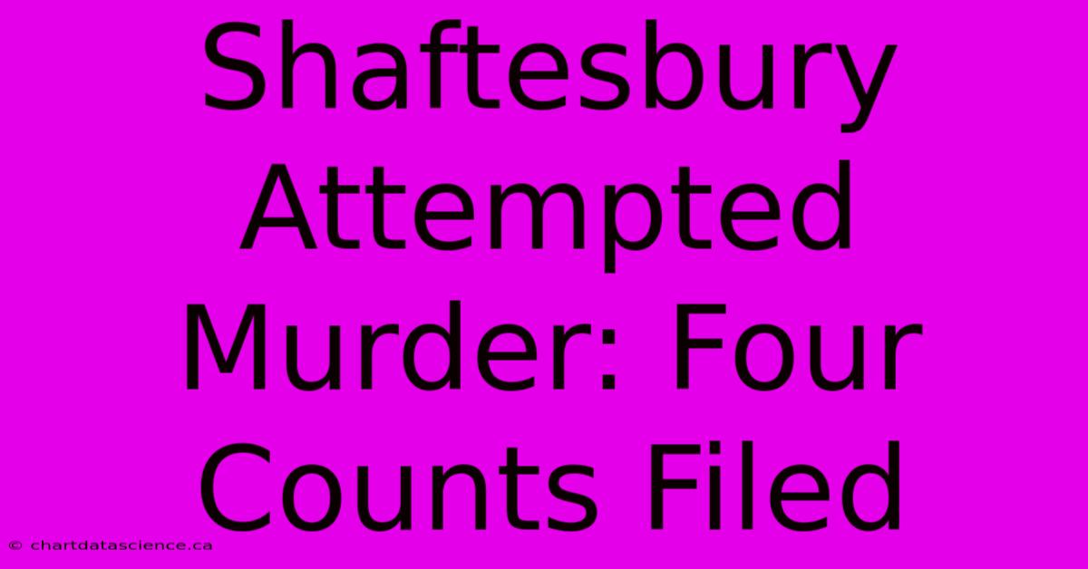 Shaftesbury Attempted Murder: Four Counts Filed