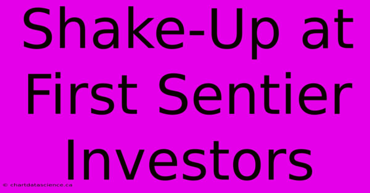 Shake-Up At First Sentier Investors