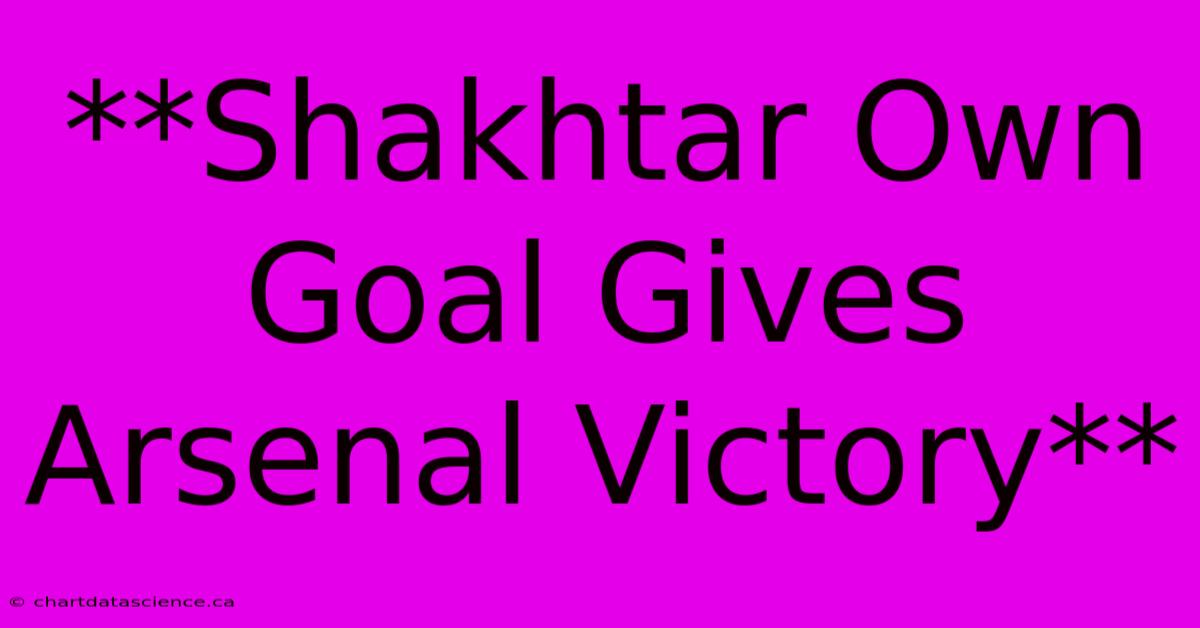 **Shakhtar Own Goal Gives Arsenal Victory**