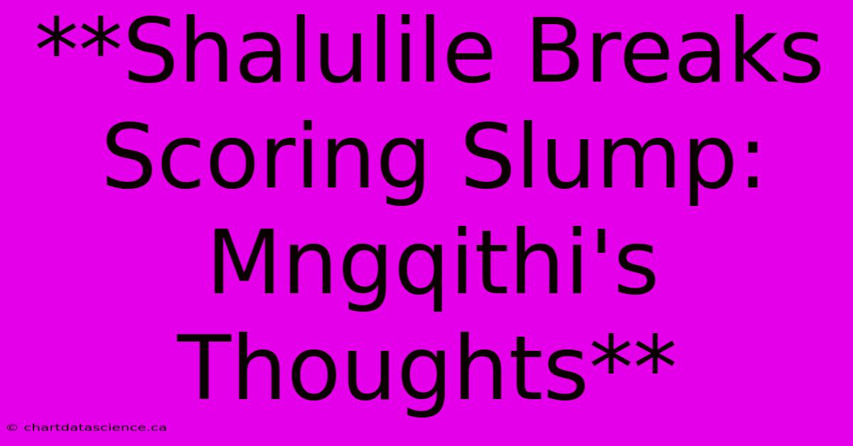 **Shalulile Breaks Scoring Slump: Mngqithi's Thoughts** 