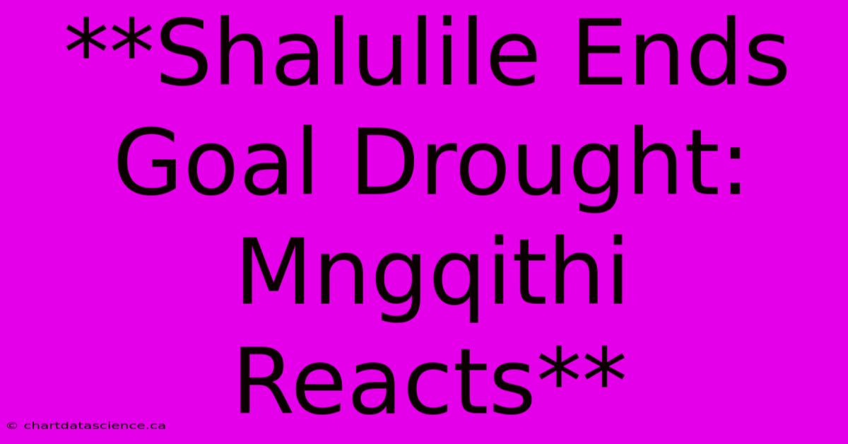 **Shalulile Ends Goal Drought: Mngqithi Reacts** 