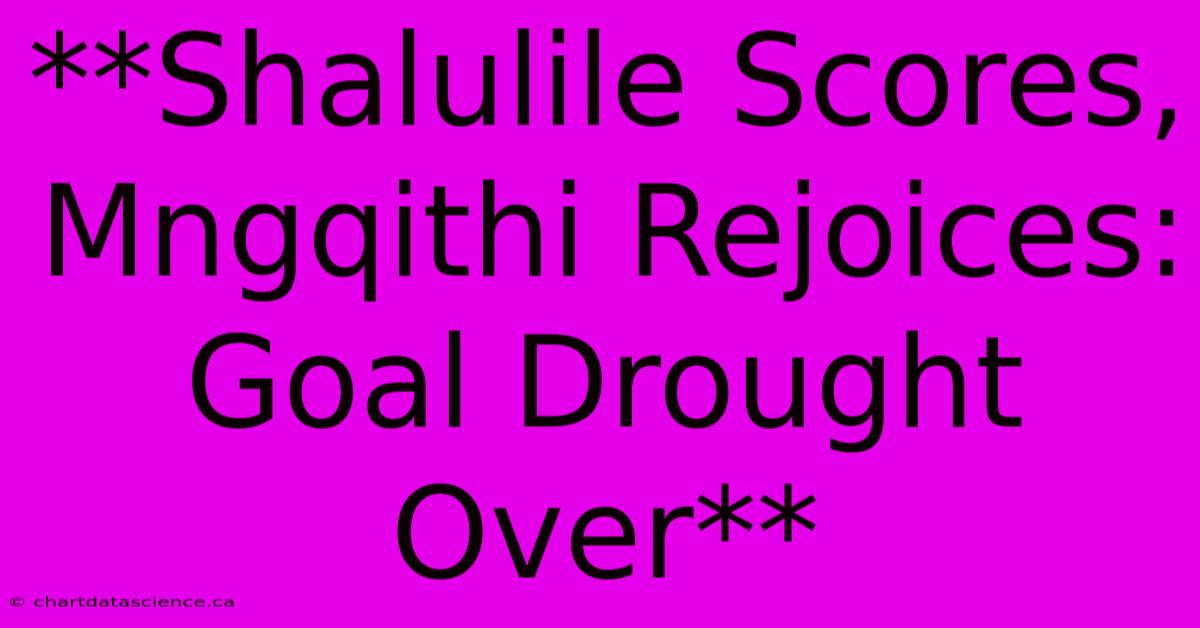 **Shalulile Scores, Mngqithi Rejoices: Goal Drought Over**