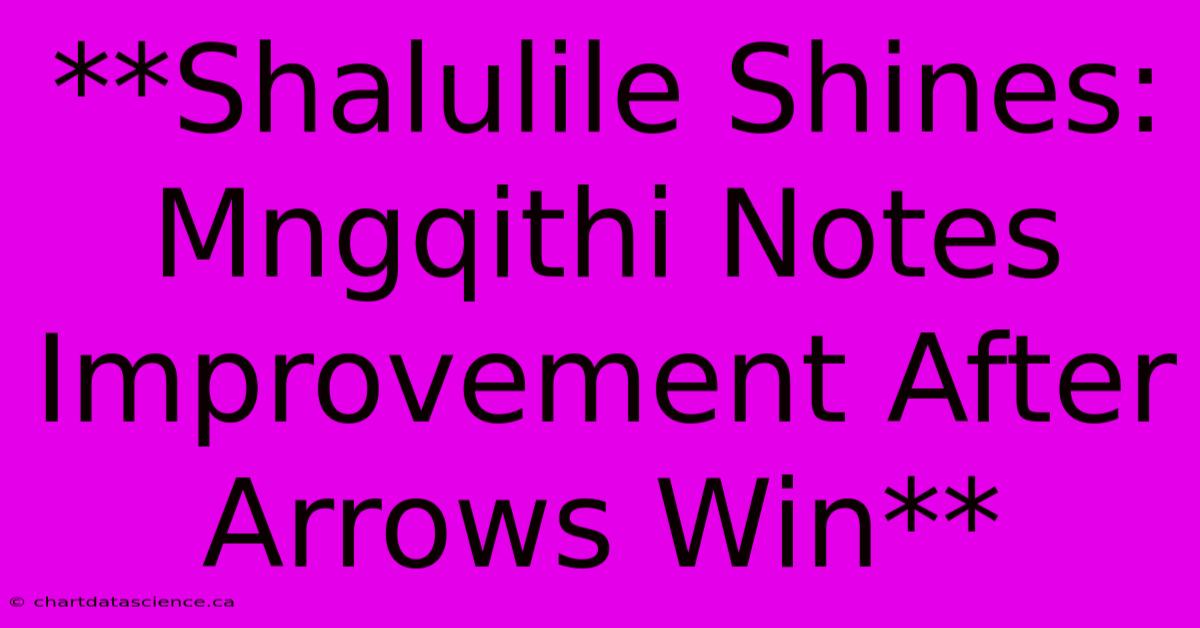 **Shalulile Shines: Mngqithi Notes Improvement After Arrows Win**