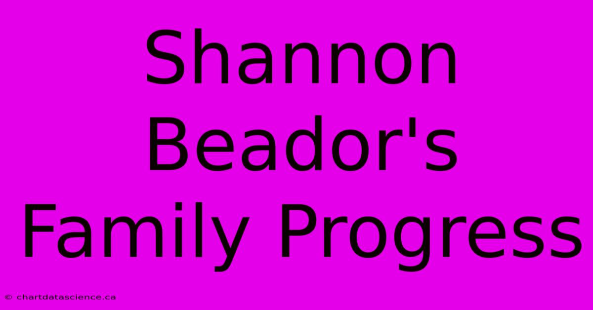 Shannon Beador's Family Progress