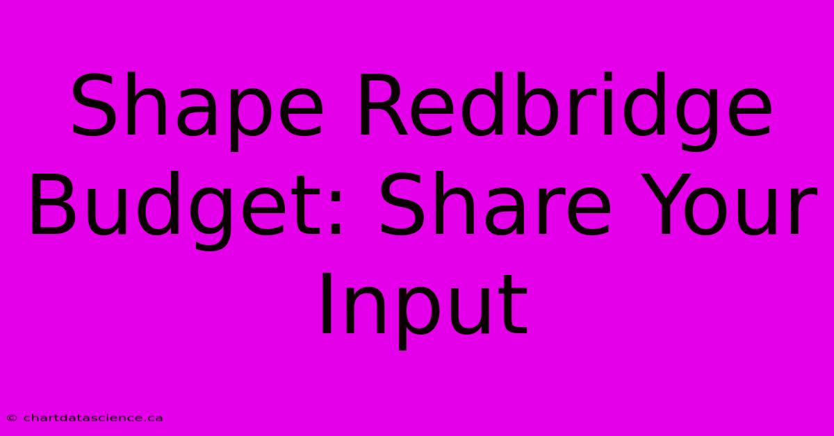 Shape Redbridge Budget: Share Your Input