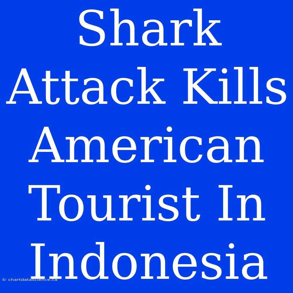 Shark Attack Kills American Tourist In Indonesia