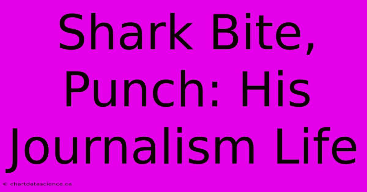 Shark Bite, Punch: His Journalism Life