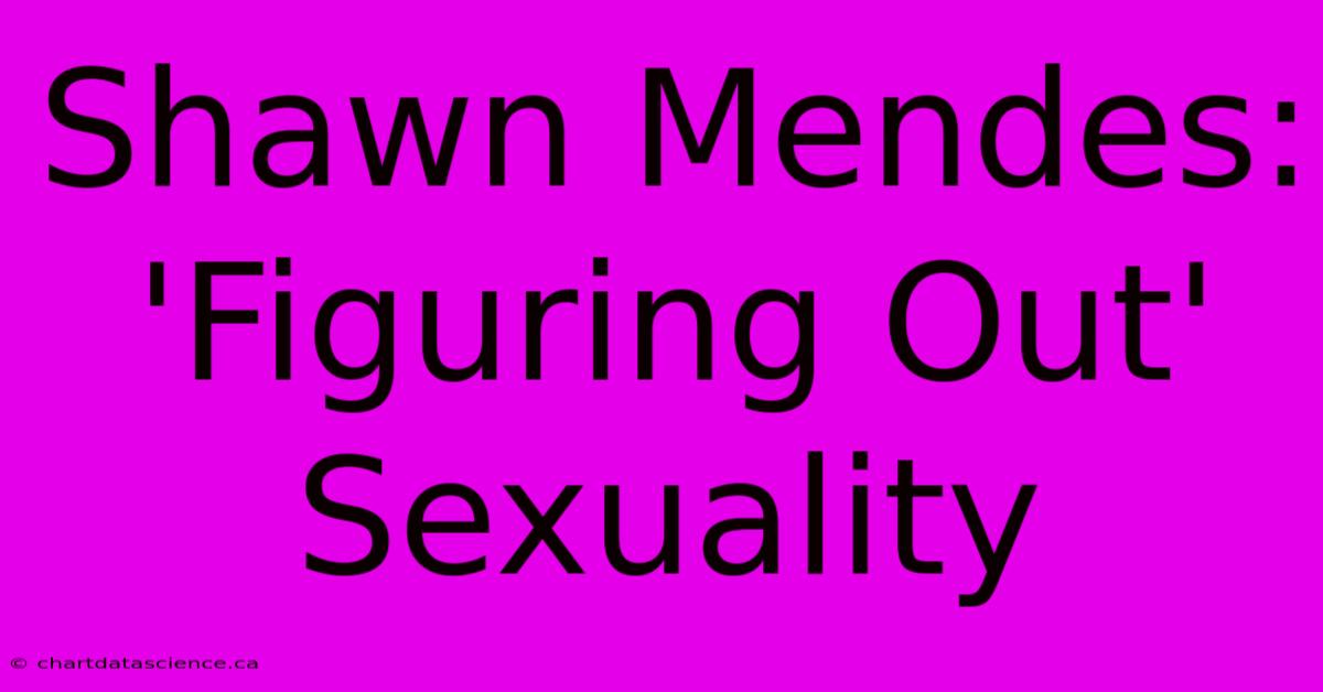 Shawn Mendes: 'Figuring Out' Sexuality