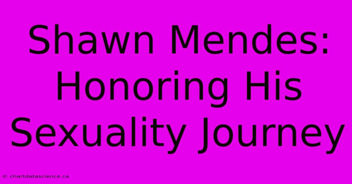 Shawn Mendes:  Honoring His Sexuality Journey