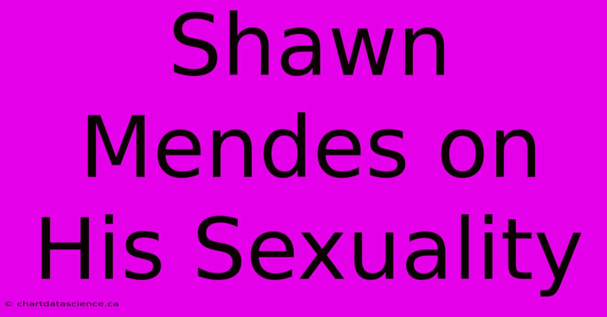 Shawn Mendes On His Sexuality