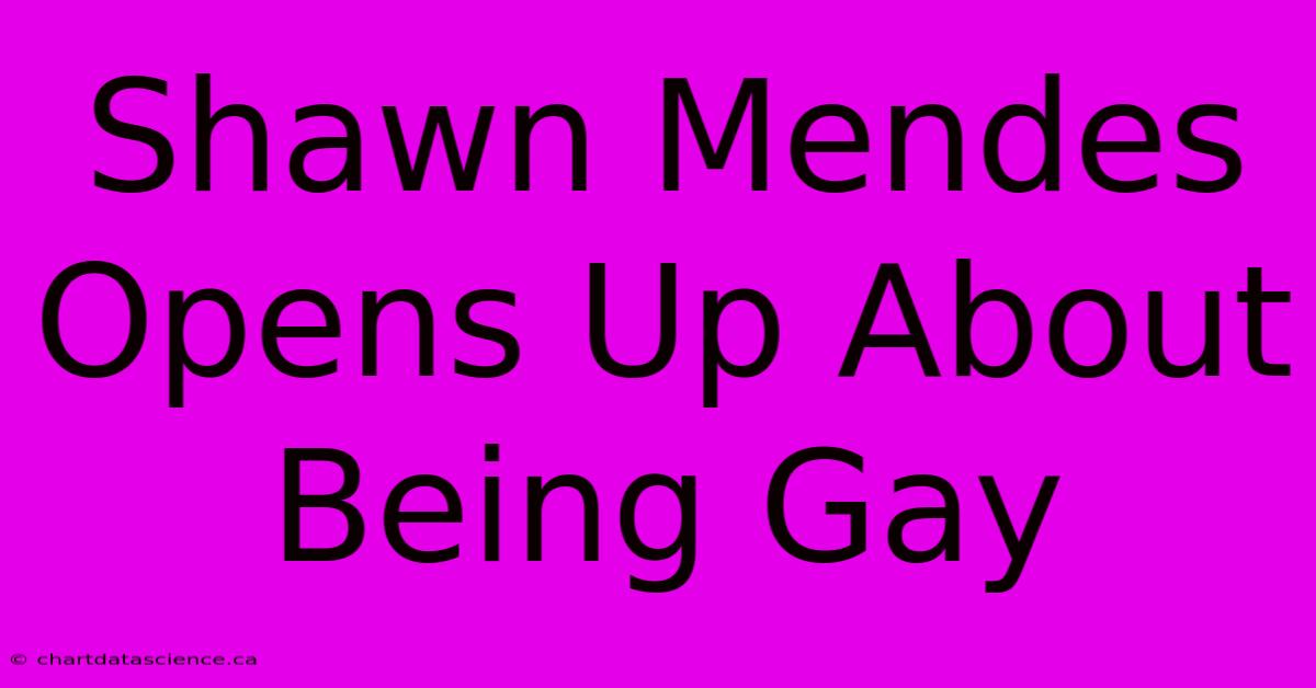 Shawn Mendes Opens Up About Being Gay