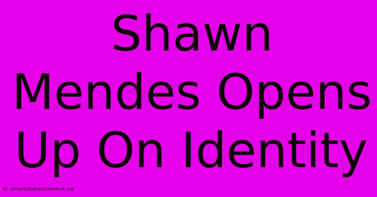 Shawn Mendes Opens Up On Identity