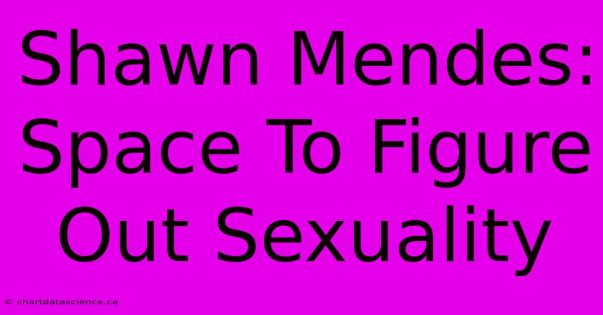 Shawn Mendes:  Space To Figure Out Sexuality