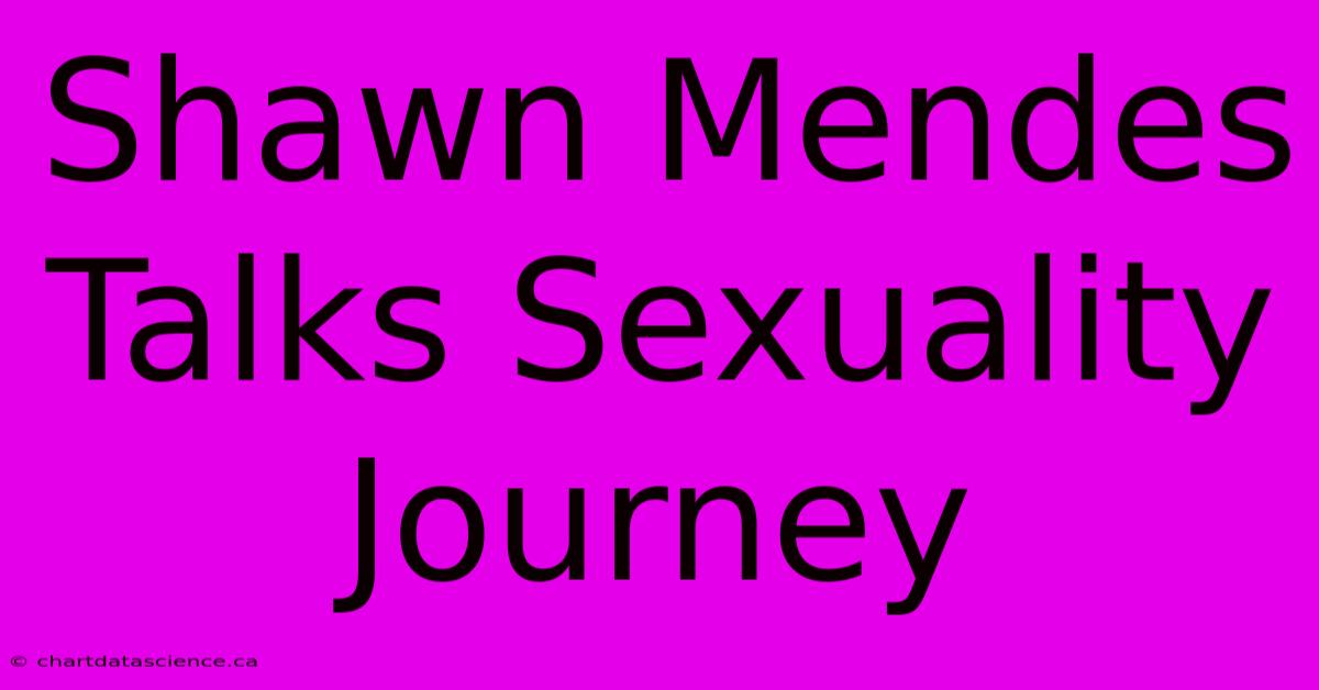 Shawn Mendes Talks Sexuality Journey