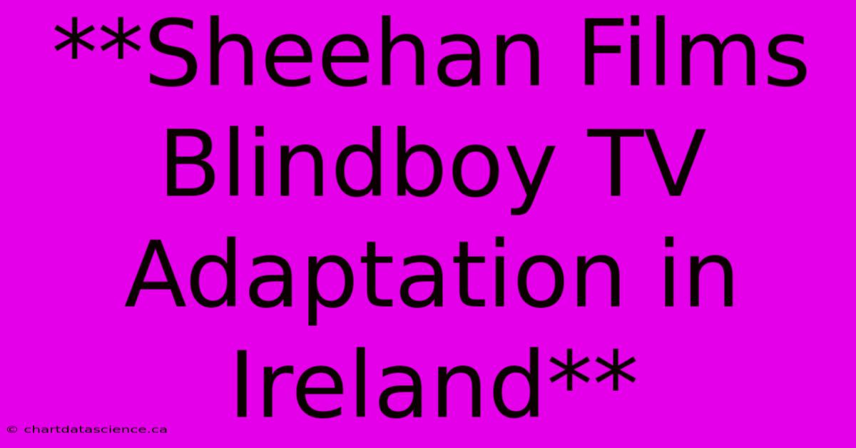 **Sheehan Films Blindboy TV Adaptation In Ireland**