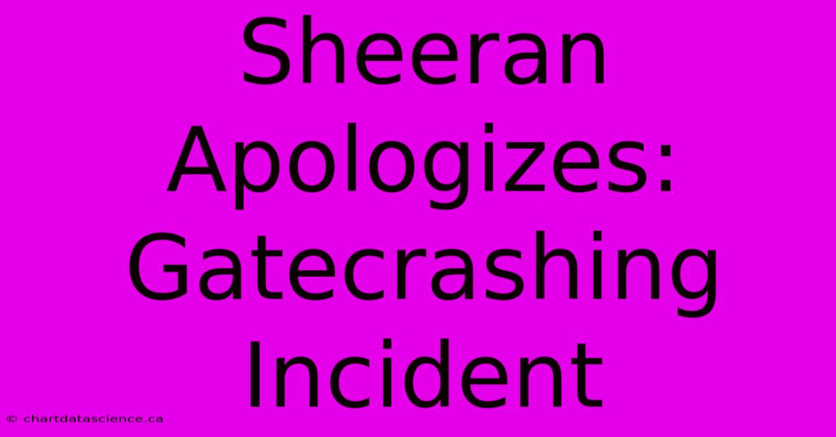 Sheeran Apologizes: Gatecrashing Incident