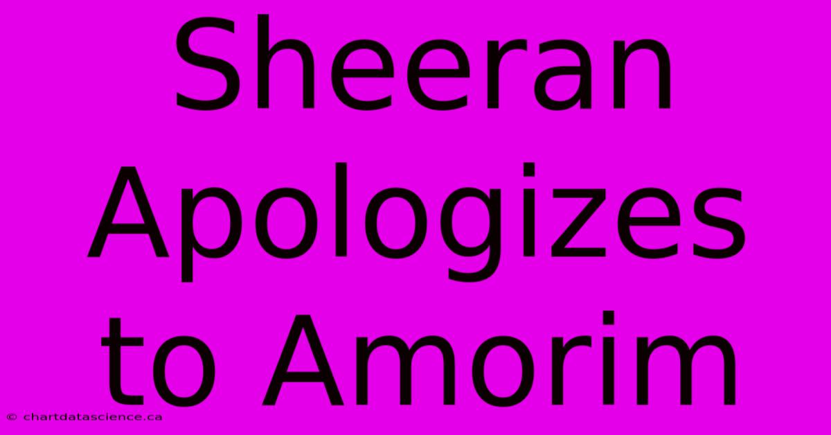 Sheeran Apologizes To Amorim