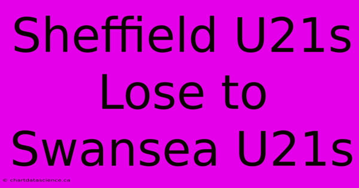 Sheffield U21s Lose To Swansea U21s