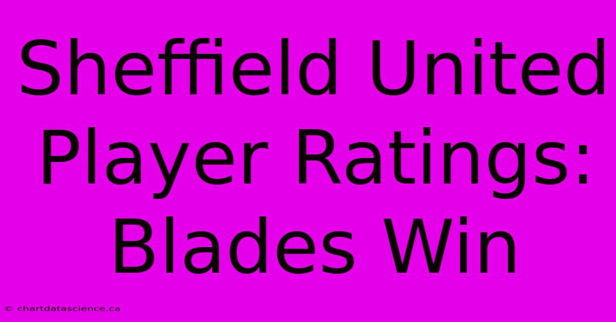 Sheffield United Player Ratings: Blades Win