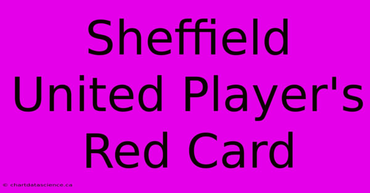 Sheffield United Player's Red Card