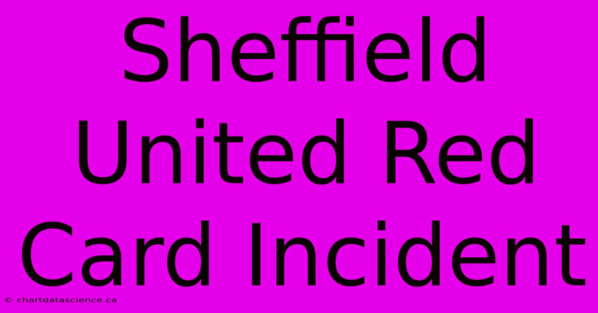 Sheffield United Red Card Incident