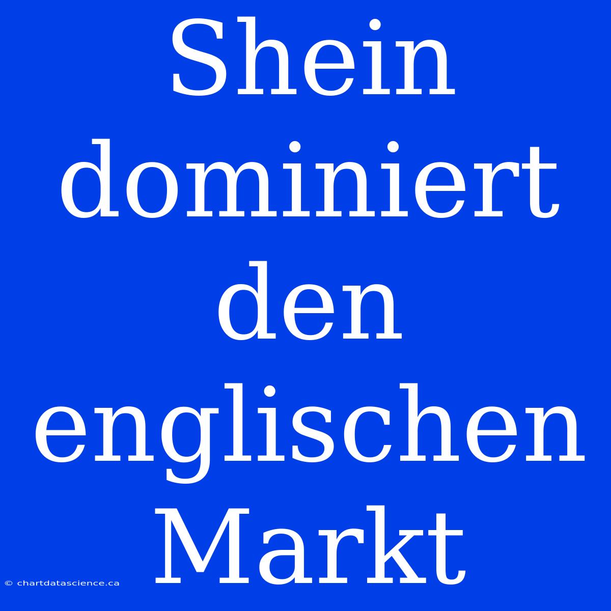 Shein Dominiert Den Englischen Markt