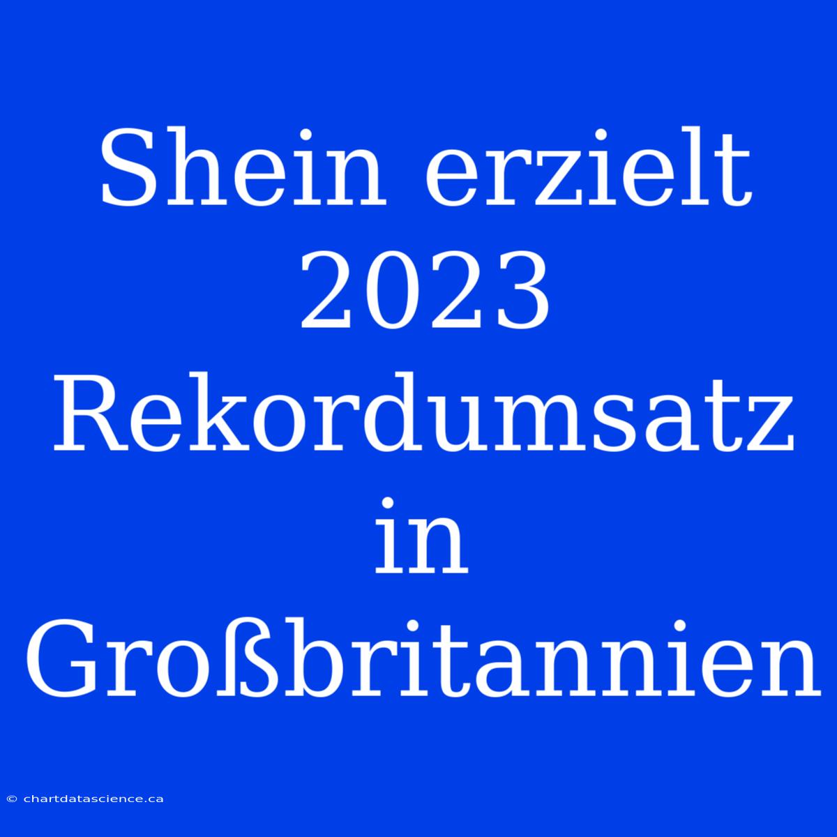 Shein Erzielt 2023 Rekordumsatz In Großbritannien