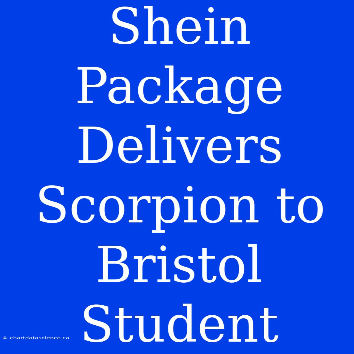 Shein Package Delivers Scorpion To Bristol Student