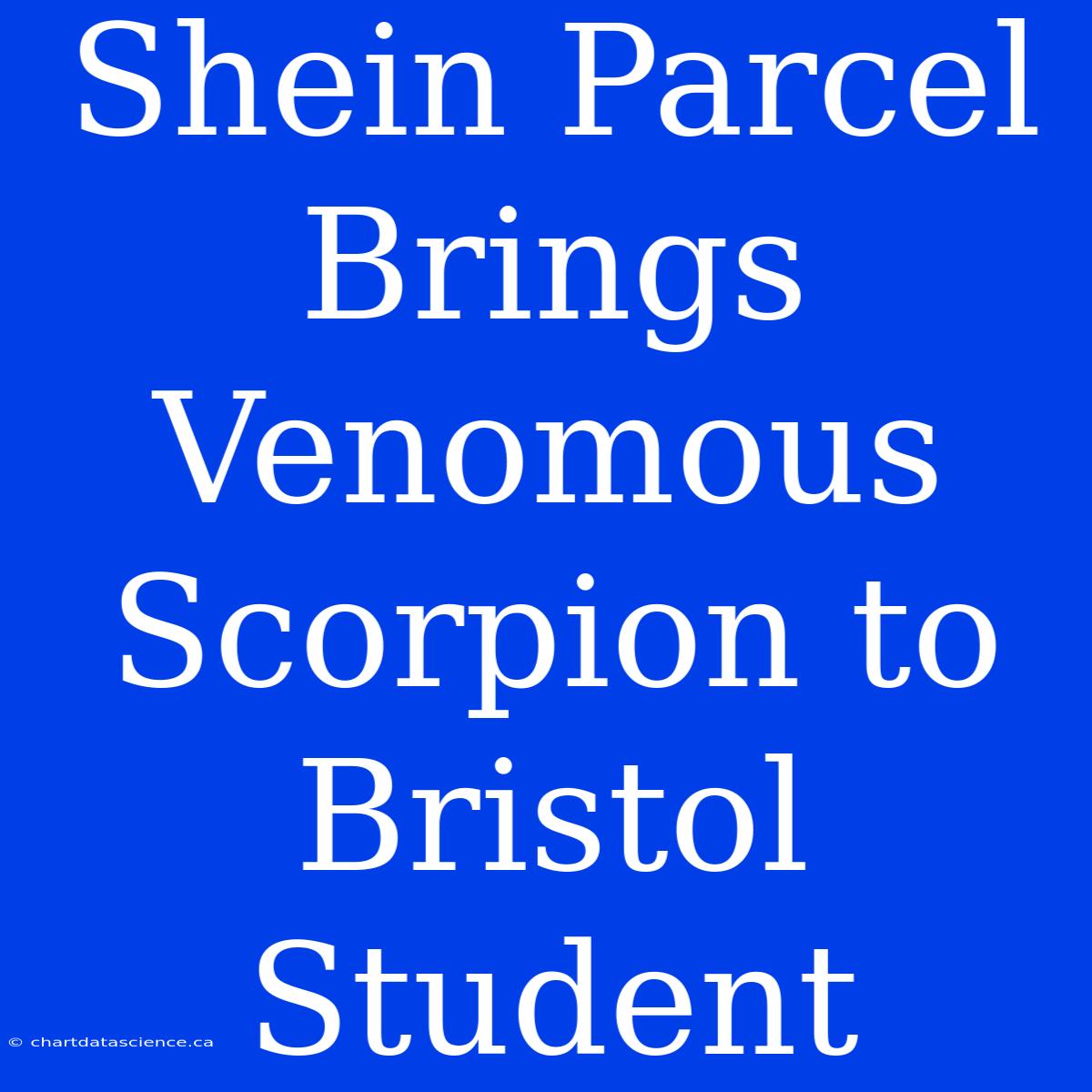 Shein Parcel Brings Venomous Scorpion To Bristol Student