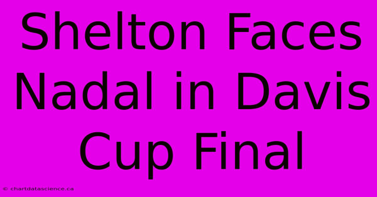 Shelton Faces Nadal In Davis Cup Final